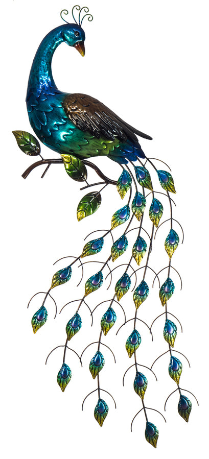 Peacock on Show Metal Wall Art