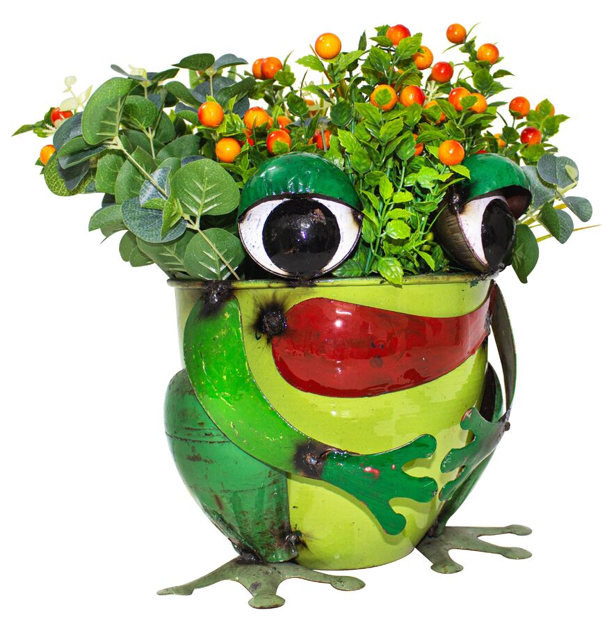 EEIEEIO Crazy Frog Recycled Outdoor Planter