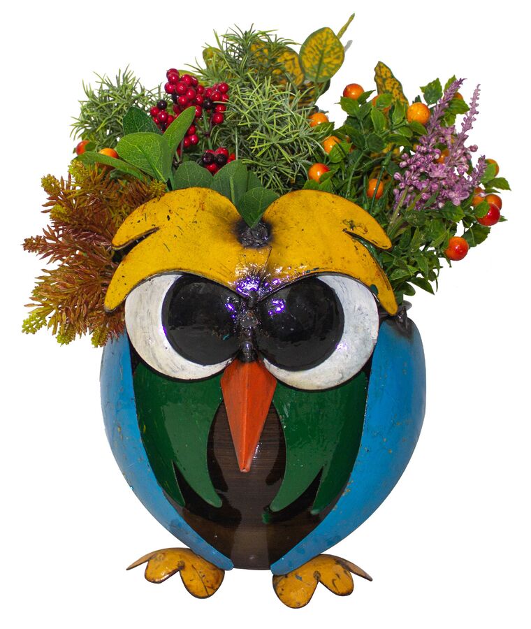 EEIEEIO Crazy Owl Recycled Outdoor Planter