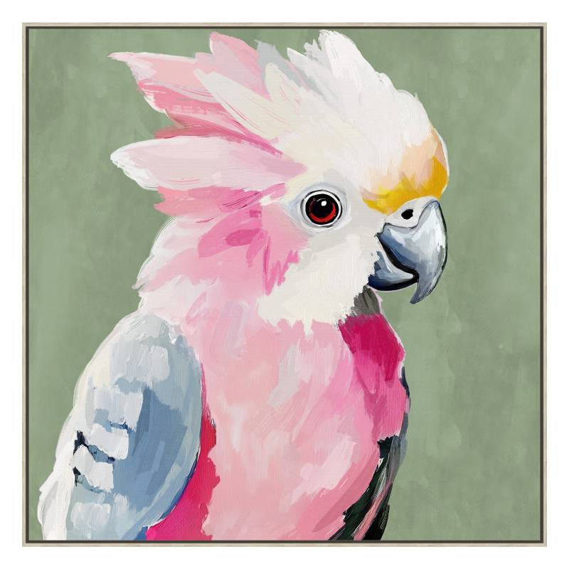 Galah Bird Framed Canvas Painting