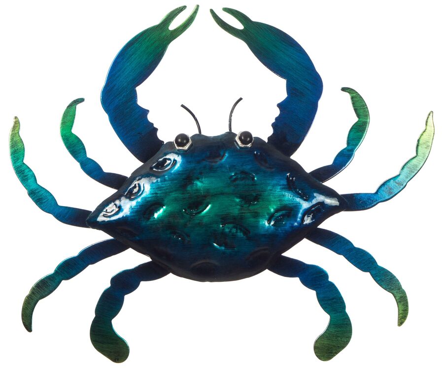 Blue Swimming Crab Metal Wall Art