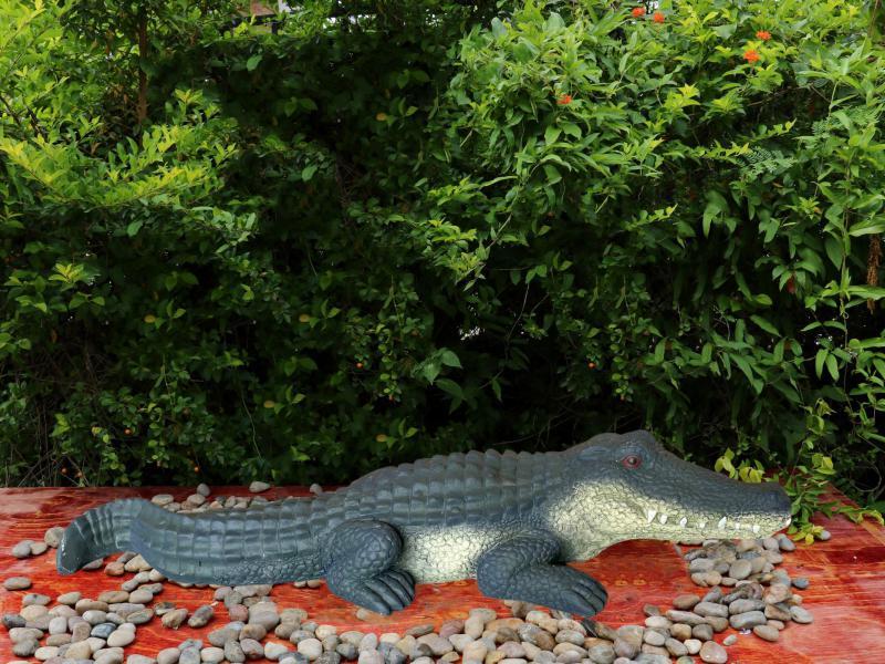 Crocodile Outdoor Statue Garden Art