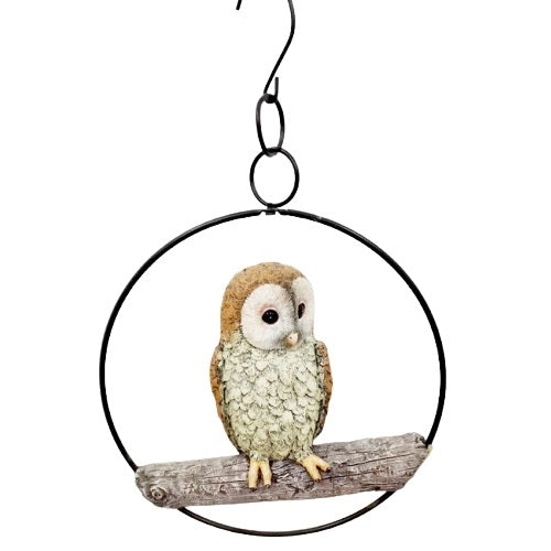 Australian Barn Owl In Ring Hanging Decor